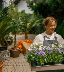 b3024bde-a21d-458c-a310-58b27941fa2617694920461_paste-1769492046763